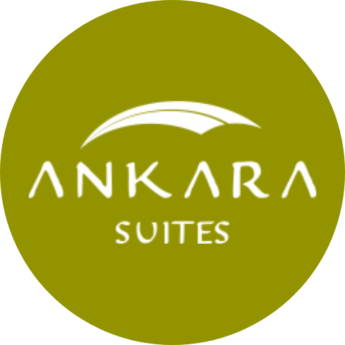 Ankara Hotel Suites Salta